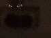 SurveyImage_15_03.png