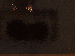 SurveyImage_17_03.png