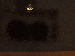 SurveyImage_19_03.png