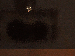 SurveyImage_21_03.png