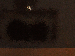 SurveyImage_22_03.png