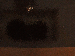 SurveyImage_23_03.png