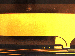 SurveyImage_25_02.png