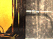 SurveyImage_28_02.png