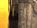 SurveyImage_28_03.png