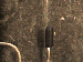SurveyImage_29_04.png