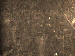 SurveyImage_29_05.png