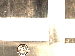 SurveyImage_30_01.png