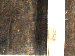 SurveyImage_30_02.png