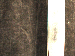 SurveyImage_30_03.png