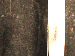 SurveyImage_30_04.png