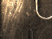 SurveyImage_01_03.png