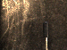 SurveyImage_01_04.png