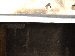 SurveyImage_06_06.png