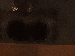 SurveyImage_10_03.png