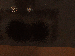 SurveyImage_12_03.png