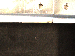 SurveyImage_12_06.png