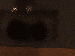 SurveyImage_13_03.png