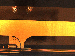 SurveyImage_14_02.png