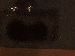 SurveyImage_14_03.png