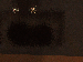 SurveyImage_15_03.png