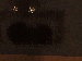 SurveyImage_16_03.png