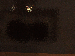 SurveyImage_18_03.png