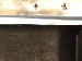 SurveyImage_18_06.png
