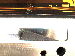 SurveyImage_19_01.png