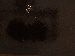 SurveyImage_20_03.png