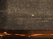 SurveyImage_20_05.png
