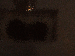 SurveyImage_22_03.png