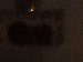 SurveyImage_23_03.png