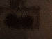 SurveyImage_27_03.png