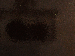 SurveyImage_29_03.png