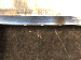SurveyImage_29_06.png