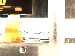 SurveyImage_30_01.png