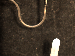 SurveyImage_29_03.png