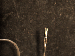 SurveyImage_29_04.png