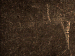 SurveyImage_28_05.png