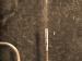 SurveyImage_29_04.png