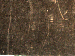 SurveyImage_30_02.png
