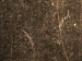 SurveyImage_30_03.png