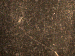 SurveyImage_30_05.png
