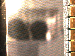 SurveyImage_01_03.png