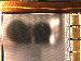 SurveyImage_03_04.png