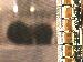 SurveyImage_11_03.png