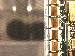 SurveyImage_17_03.png