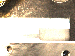 SurveyImage_01_01.png