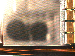 SurveyImage_05_02.png